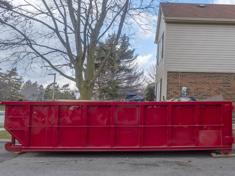 Roche Dumpster