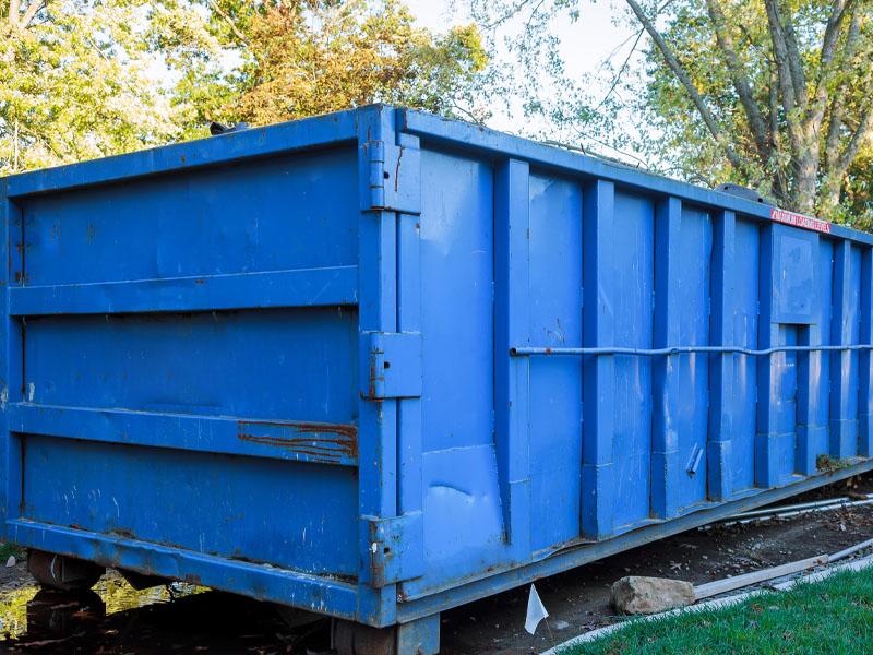 Roche Dumpster